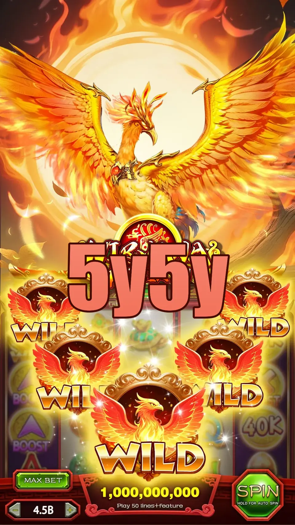 5y5y Login